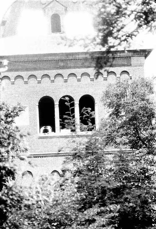 Верхній ярус