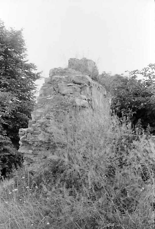 1990 р. Руїни плебанії. Вигляд із заходу