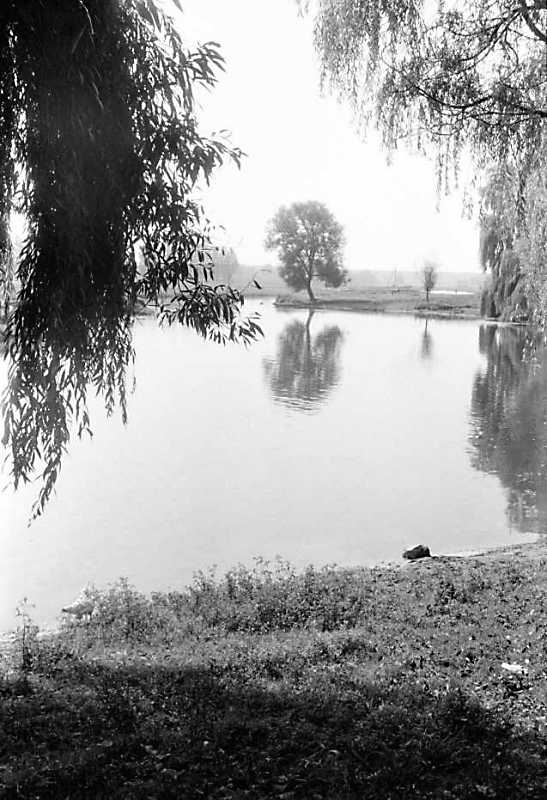 1990 р. Вид на р.Стир в с.Піски