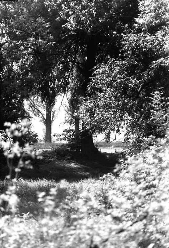 1990 р. Вид на р.Стир в с.Піски