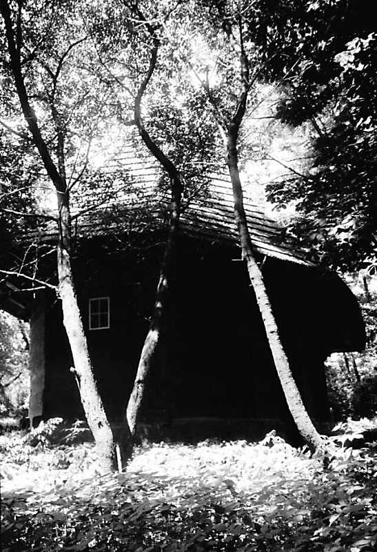 1991 р. Загальний вигляд з позиції С1