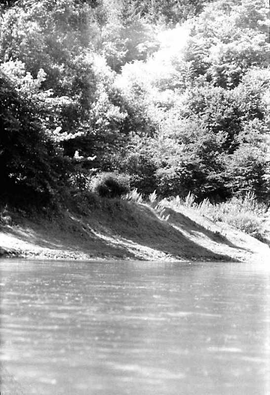 1991 р. Вид Дністар біля с. Дорошівці