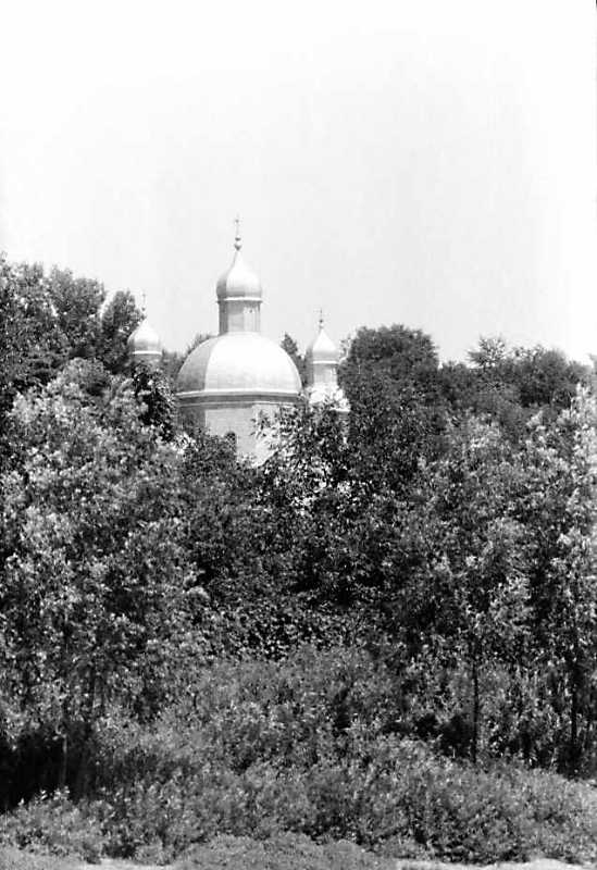 1991 р. Вид церкви з Дністра