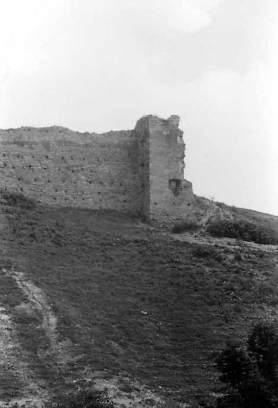 1991 р. Загальний вигляд з південного…