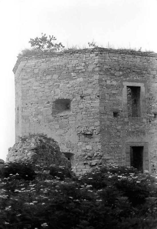 1991 р. Загальний вигляд з південного…