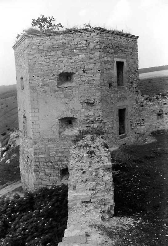 1991 р. Загальний вигляд з південного…