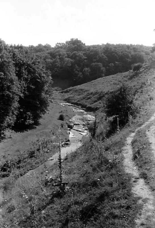 1991 р. Яр у с. Гордівці (2)