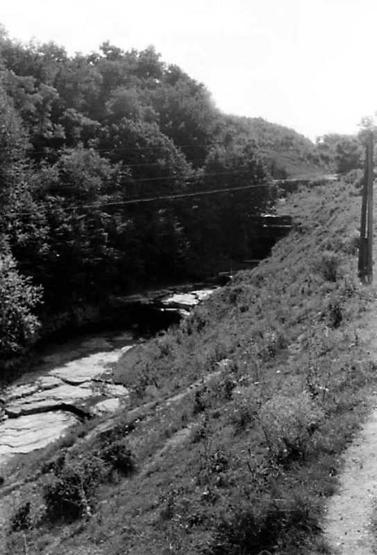 1991 р. Яр у с. Гордівці (3)