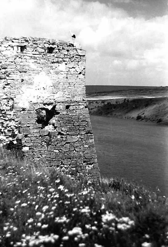 Фрагмент башти на тлі Жванчика (1)