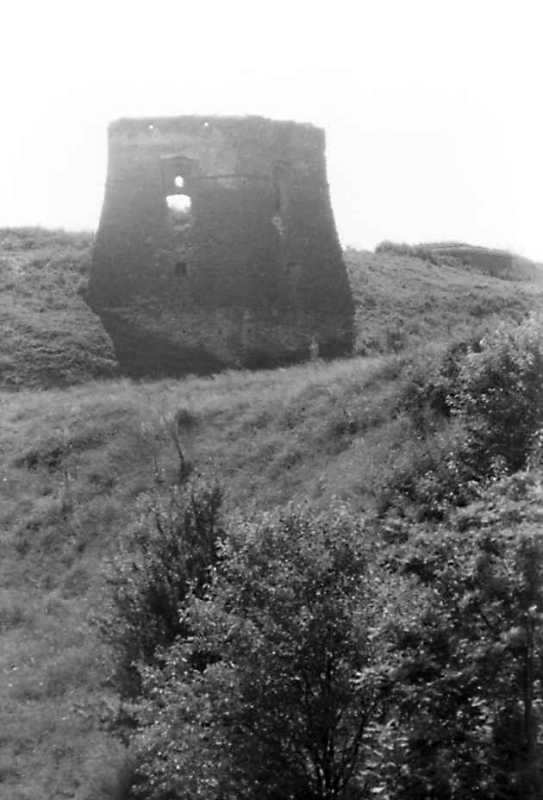 1991 р. Загальний вигляд з півночі
