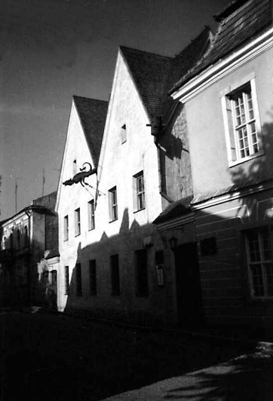 1991 р. Загальний вигляд