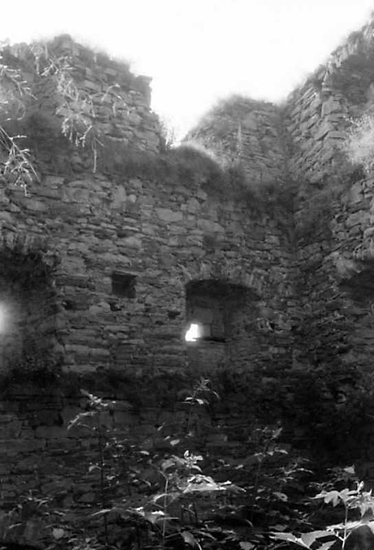 1991 р. Південна башта.…