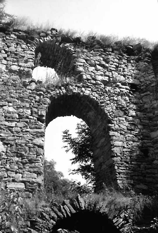 Верхній та середній яруси