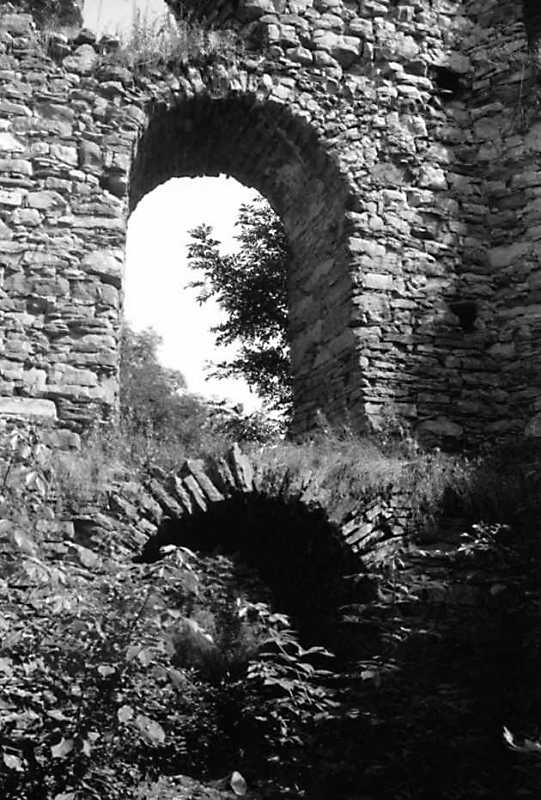 Середній та нижній яруси