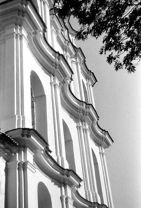 1991 р. Середній ярус головного…