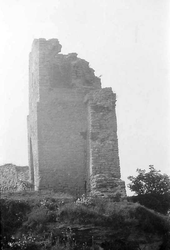 1991 р. Загальний вигляд з південного…