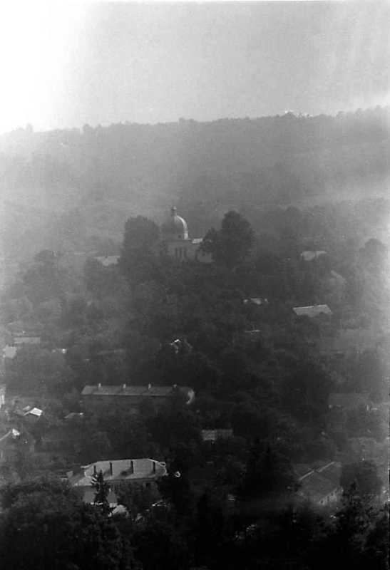 1991 р. Вигляд із Замкової гори