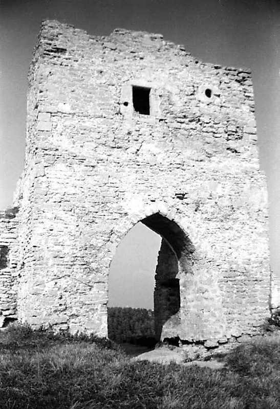 1991 р. Вигляд з південного заходу (2)