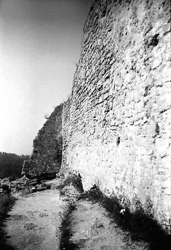 1991 р. Фрагмент західної башти та…