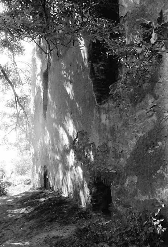 1991 р. Фрагмент східного фасаду…