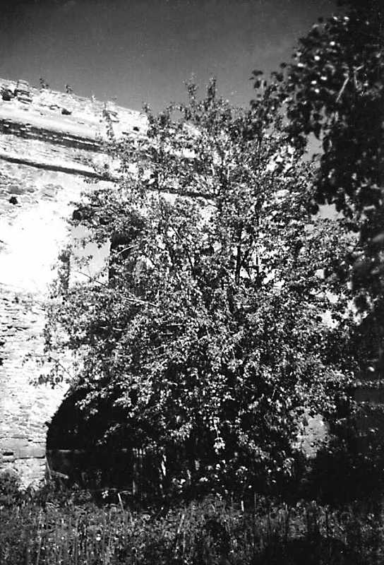 1991 р. Фрагмент південно-західного…