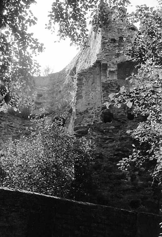 1991 р. Вигляд з південного сходу