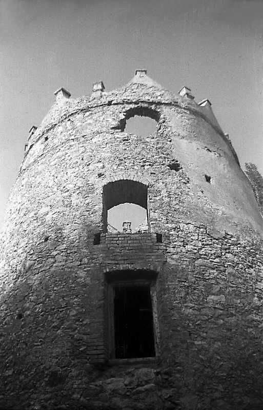 Верхні яруси