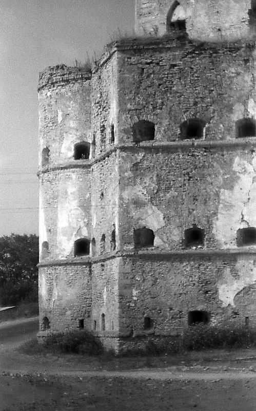 Нижні яруси