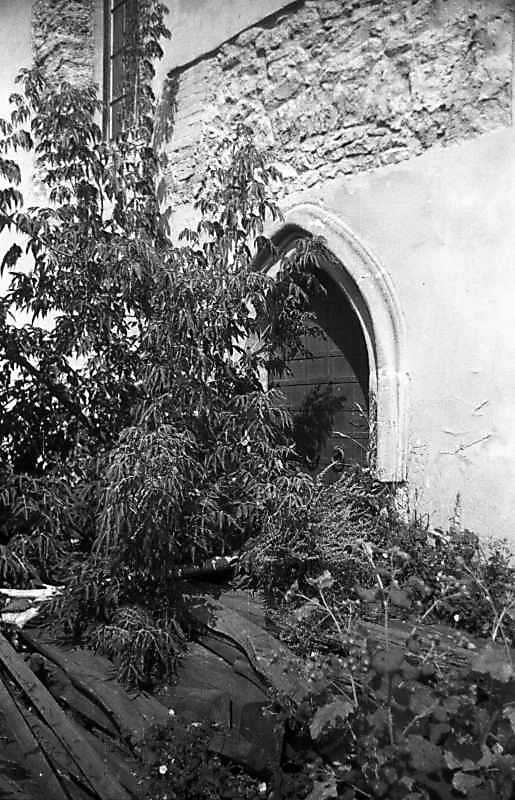 Південний портал