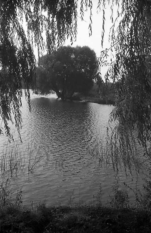 1992 р. Став. Вигляд зі сходу