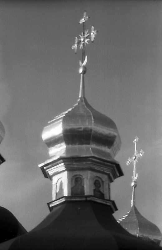 Ліхтарик південного рамена