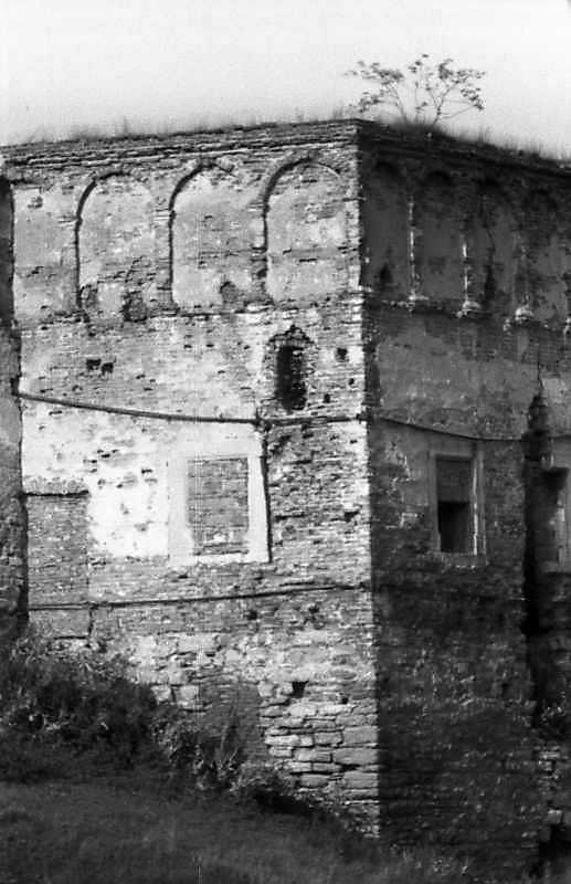 1993 р. Вигляд з південного заходу