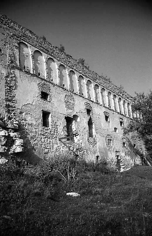 1993 р. Фрагмент південної стіни.…