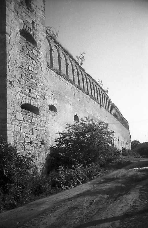 1993 р. Північно-західна стіна. Вигляд…