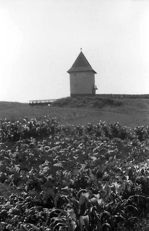 1993 р. Міст та башта. Вигляд зі сходу