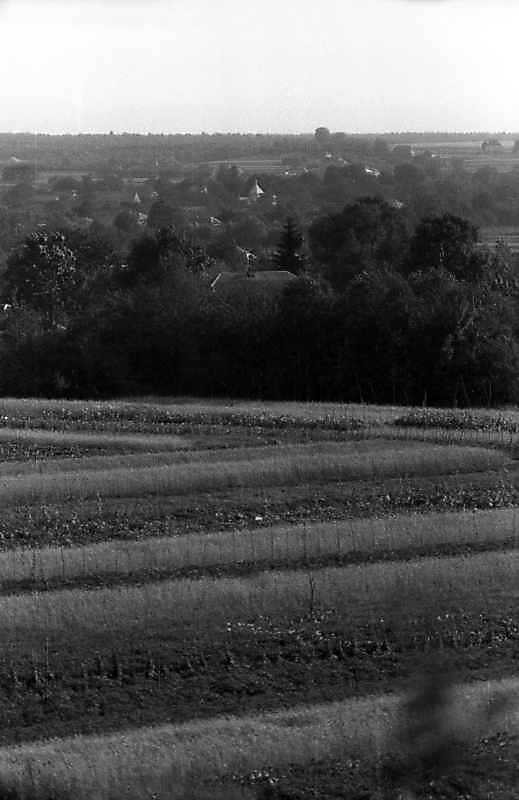 1993 р. Вид на с.Монастирець з гори…