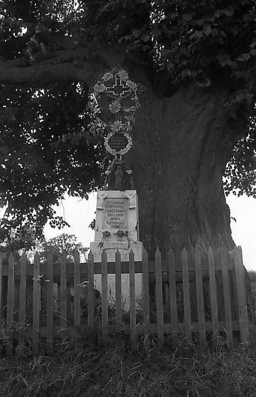 1993 р. Загальний вигляд