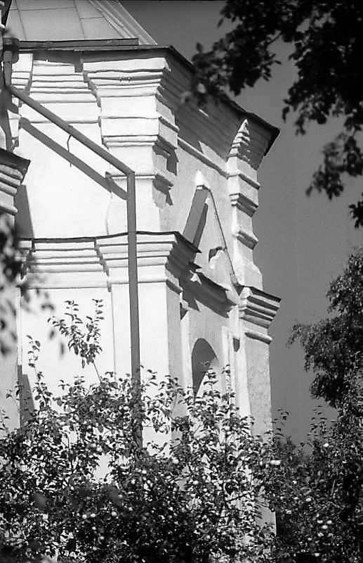 Фрагмент бічного рамена