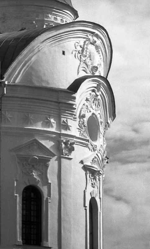 Південно-східна конха