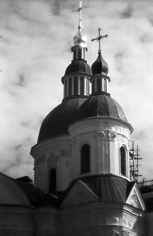 Центральний та південний куполи