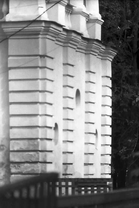 Нижній ярус