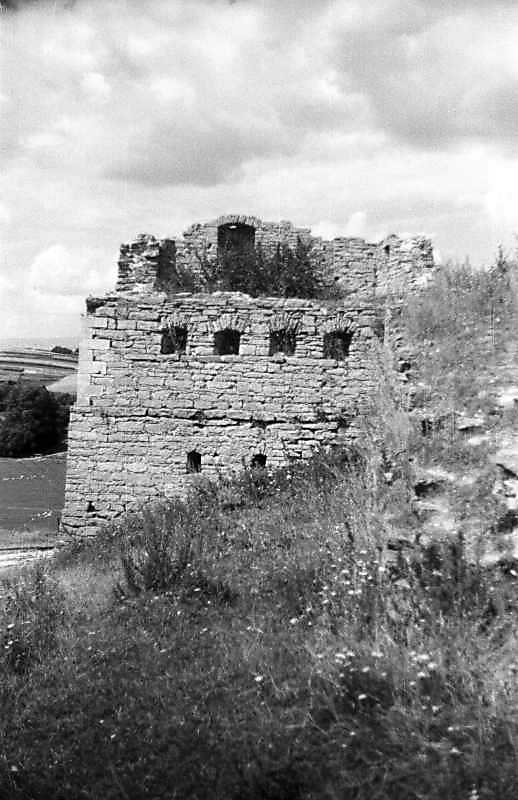 1995 р. Західна башта. Вигляд з…