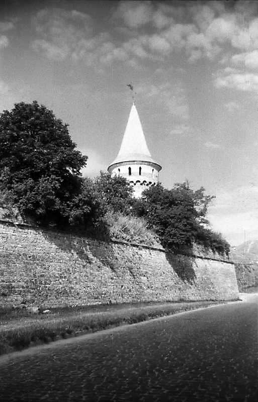 1995 р. Стіна північного двору і башта…