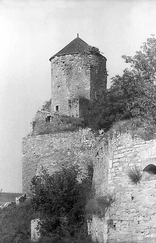 1995 р. Папська башта. Вигляд зі сходу