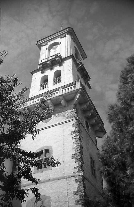 Верхні яруси