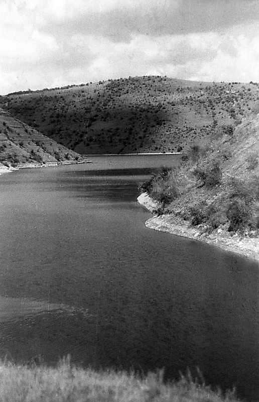 1995 р. Долина р. Студениця біля…