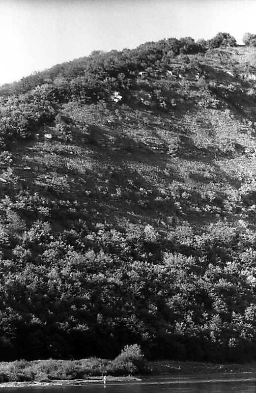 1996 р. Схил Червоної гори