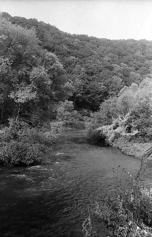 1996 р. Вид р.Стрипа біля гирла