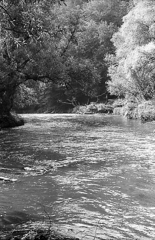 1996 р. Вид р.Стрипа біля гирла