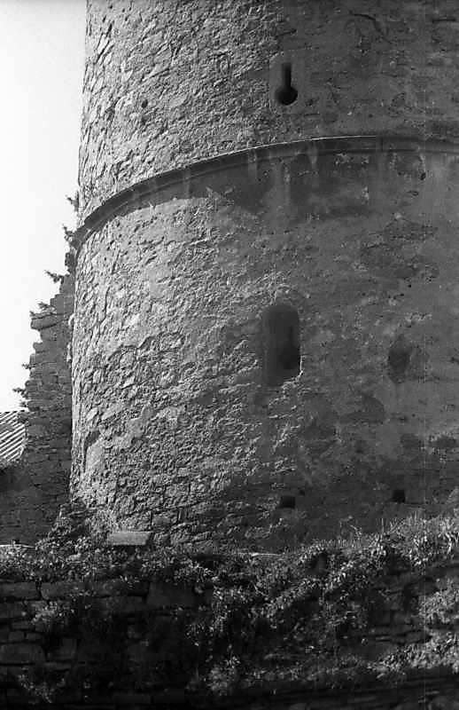 1996 р. Середні яруси. Вигляд з півночі